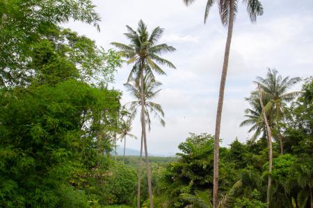 Luxury Studio Vila with Private Pool on Exclusive Maphrao Island-6