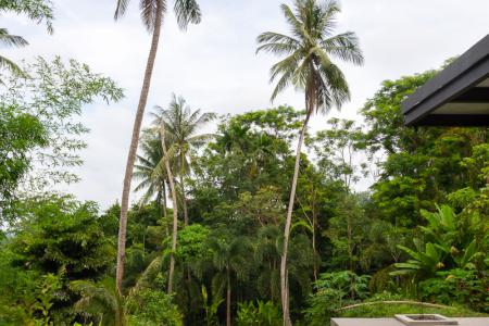 Luxury Studio Vila with Private Pool on Exclusive Maphrao Island-7